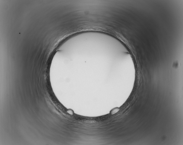 X0000115000203200912071148