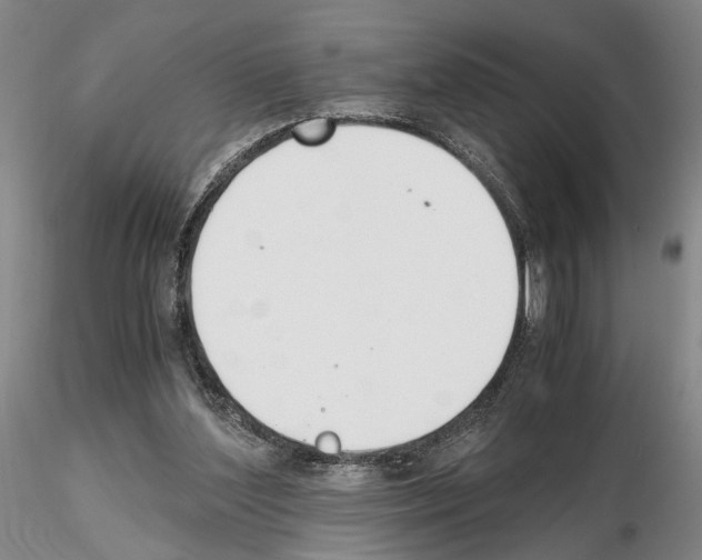 X0000115000204200912071148