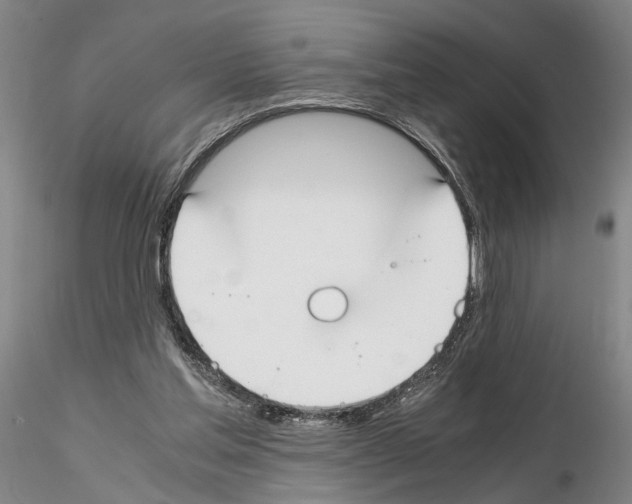 X0000115000205200912071148