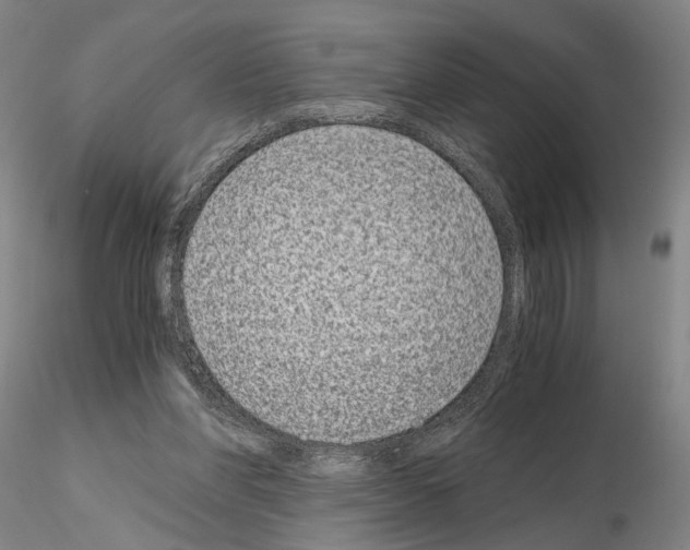 X0000115000206200912071148