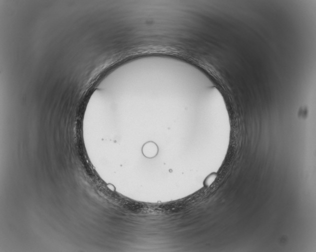 X0000115000207200912071148