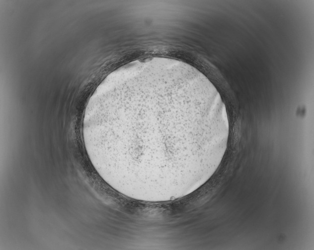 X0000115000209200912071148