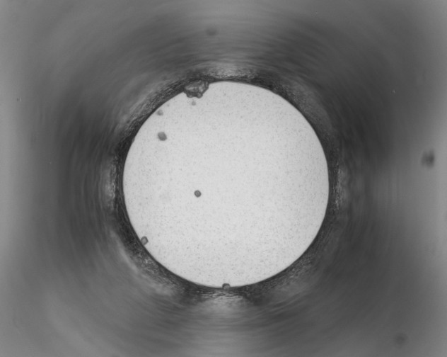 X0000115000210200912071148