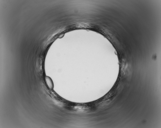 X0000115000211200912071148