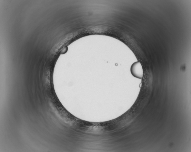 X0000115000212200912071148