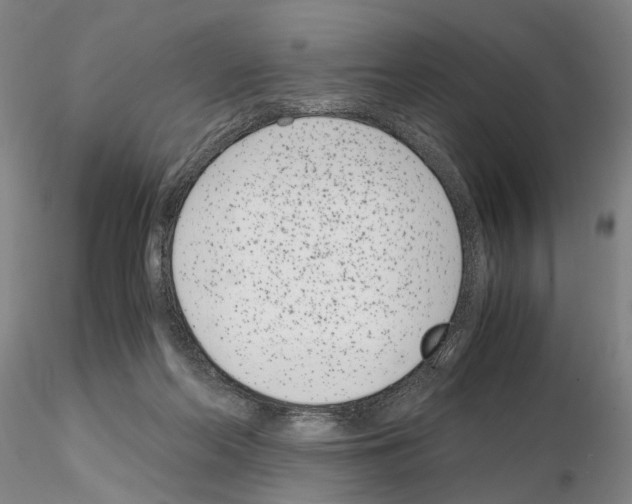 X0000115000214200912071148