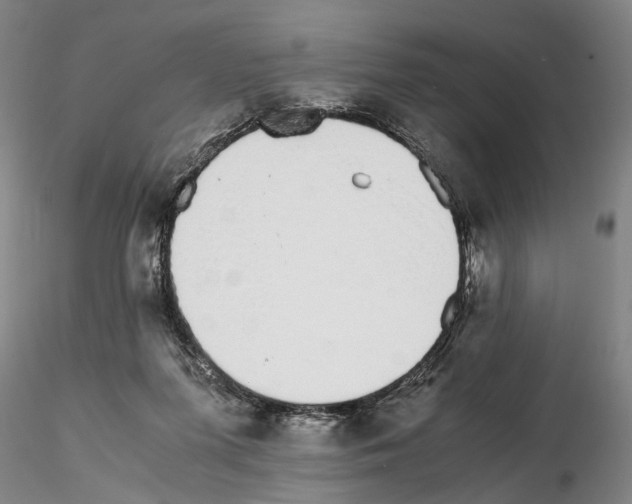 X0000115000215200912071148