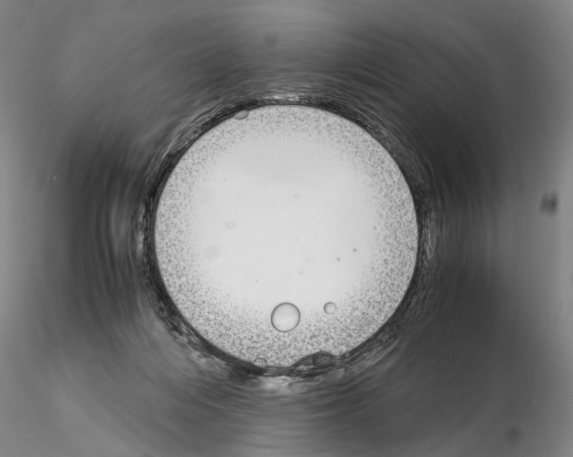 X0000115000216200912071148