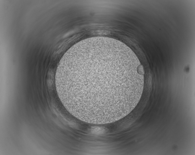 X0000115000218200912071148