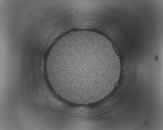 X0000115000219200912071148