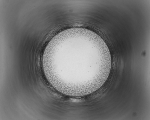 X0000115000220200912071148