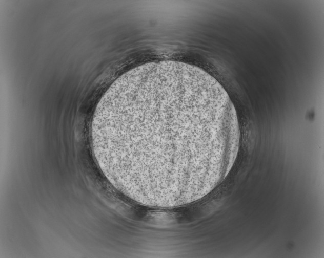 X0000115000221200912071148