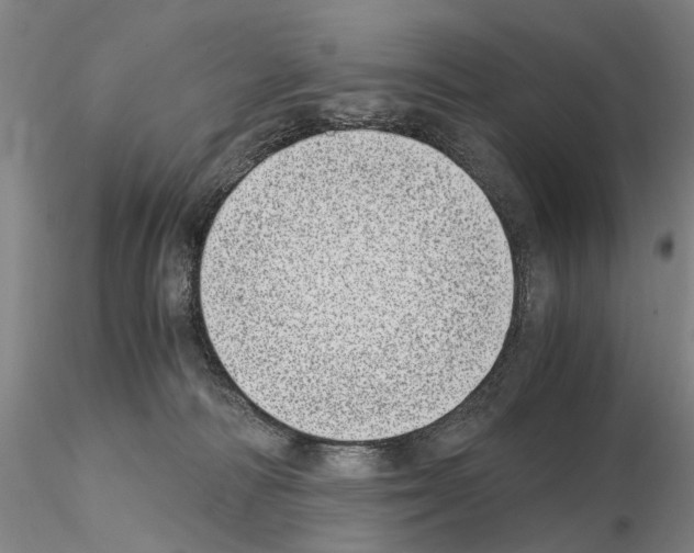 X0000115000226200912071148