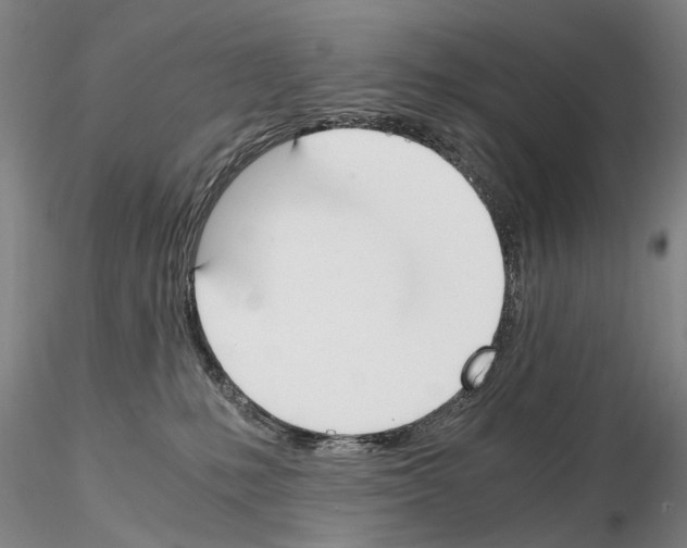 X0000115000231200912071148