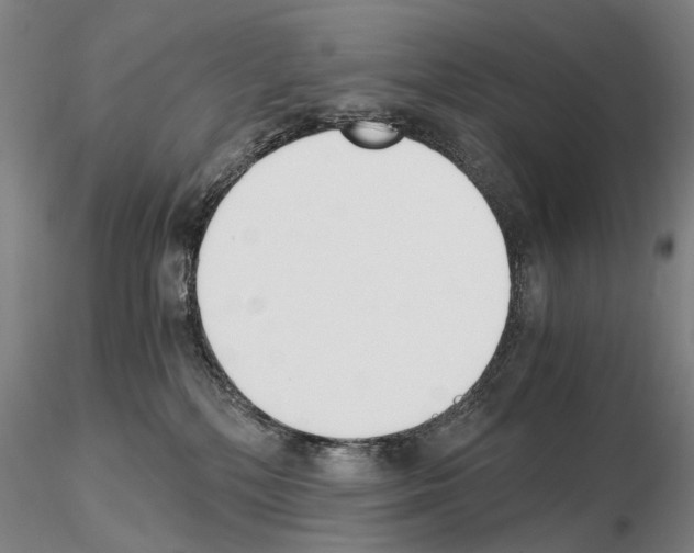 X0000115000232200912071148