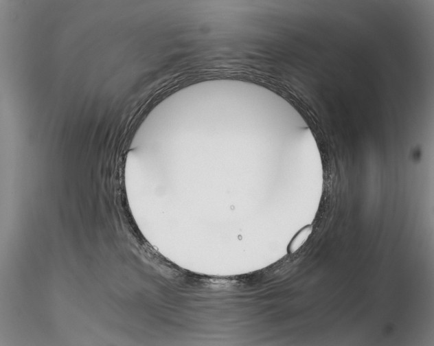 X0000115000233200912071147