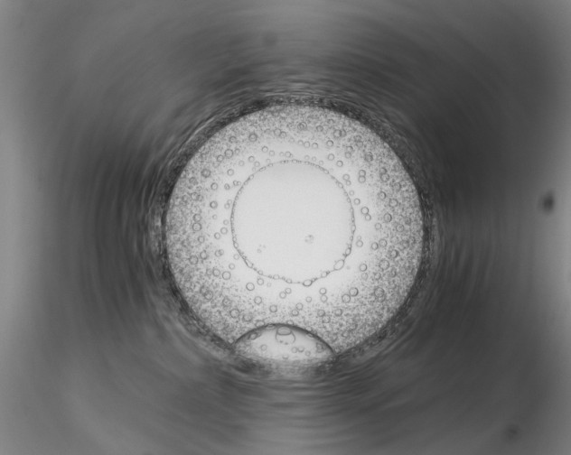 X0000115000236200912071147