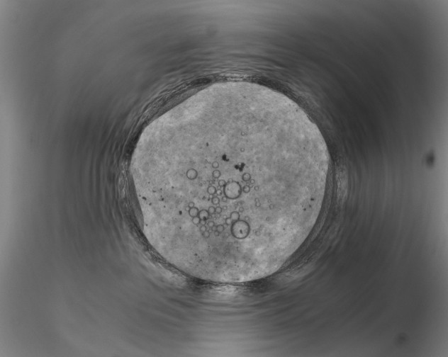 X0000115000237200912071147