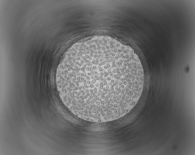 X0000115000238200912071147