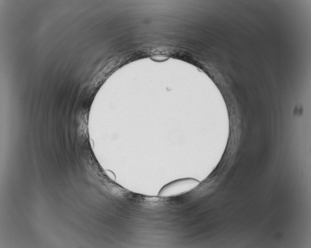 X0000115000240200912071147