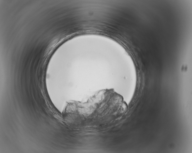 X0000115000241200912071147