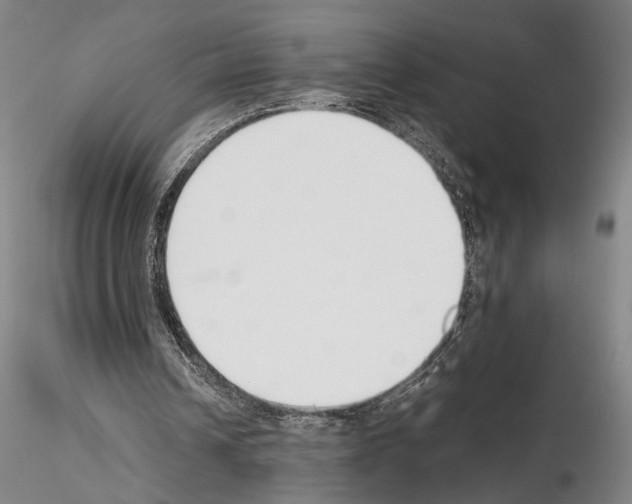 X0000115000242200912071147