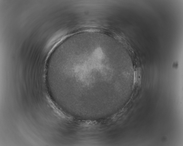 X0000115000243200912071147