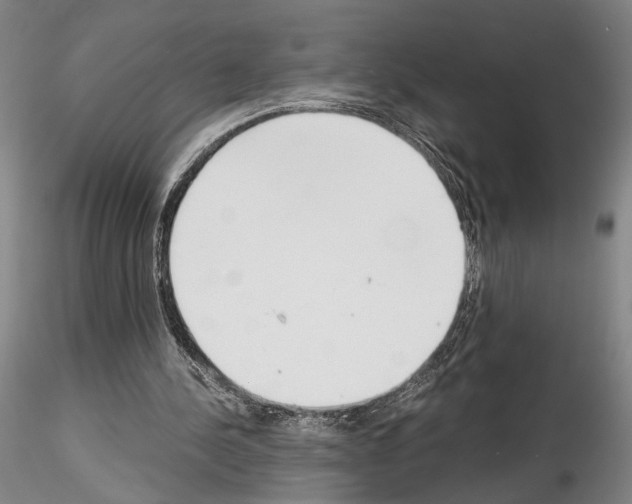 X0000115000244200912071147