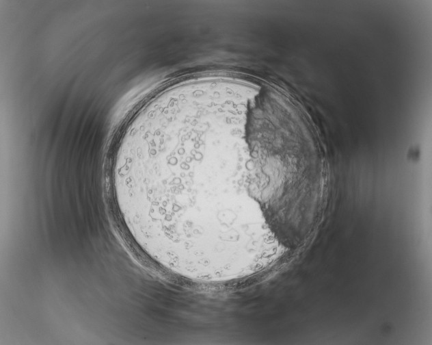 X0000115000245200912071147