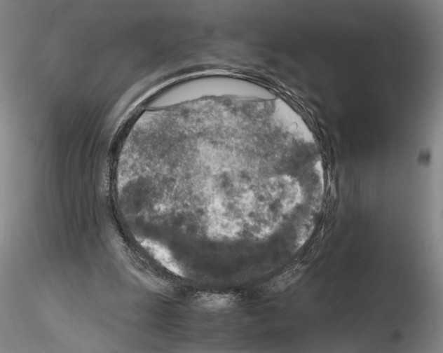 X0000115000247200912071147