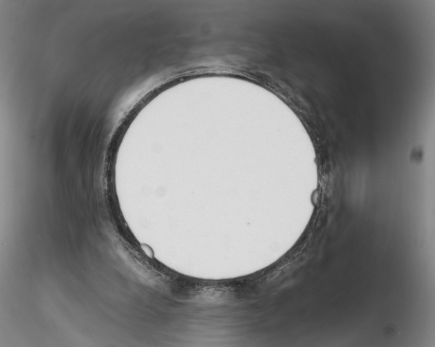 X0000115000248200912071147