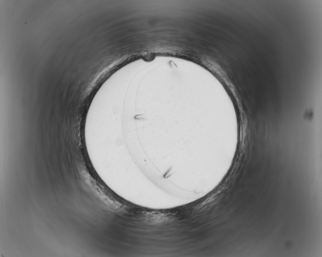 X0000115000249200912071147