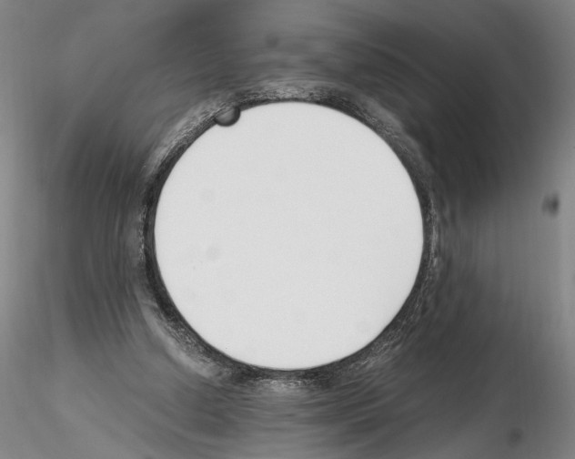 X0000115000250200912071147