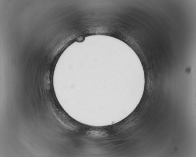 X0000115000251200912071147