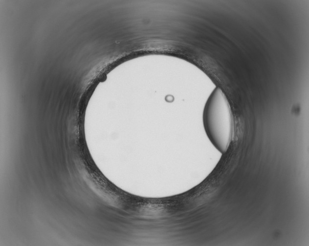 X0000115000252200912071147