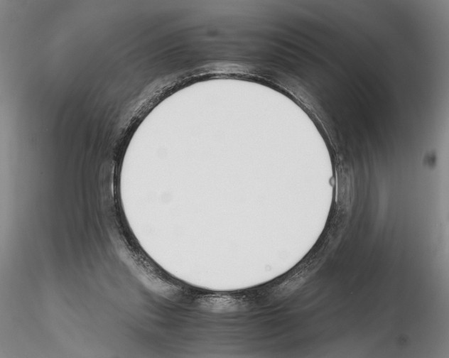 X0000115000253200912071147