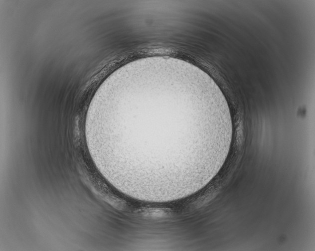 X0000115000254200912071147