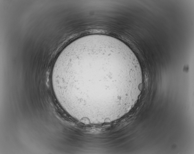 X0000115000255200912071147