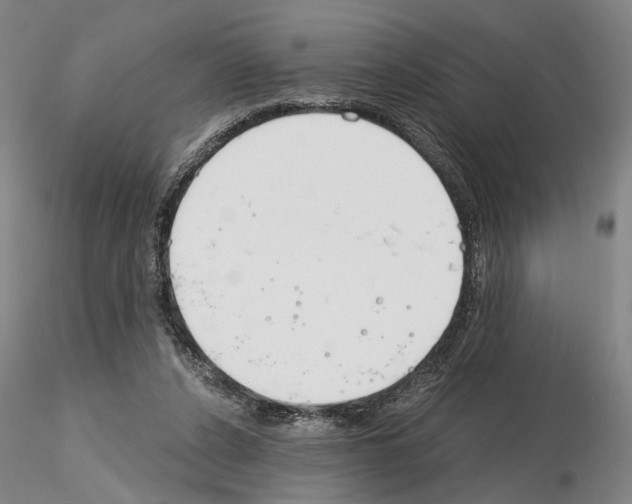 X0000115000256200912071147