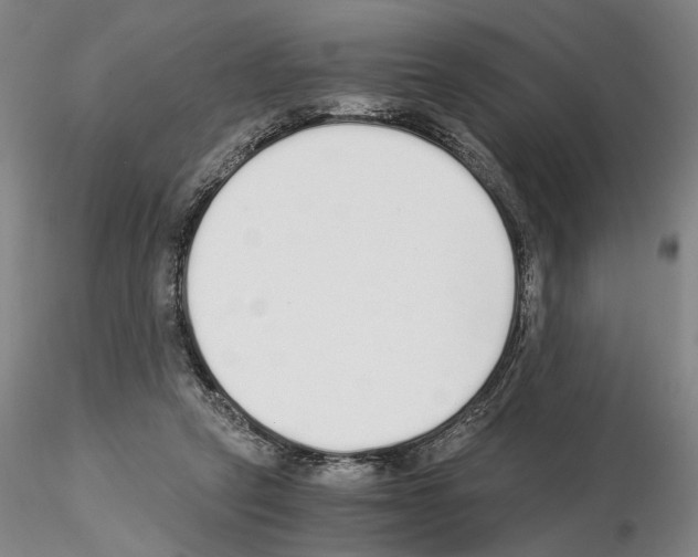 X0000115000257200912071147