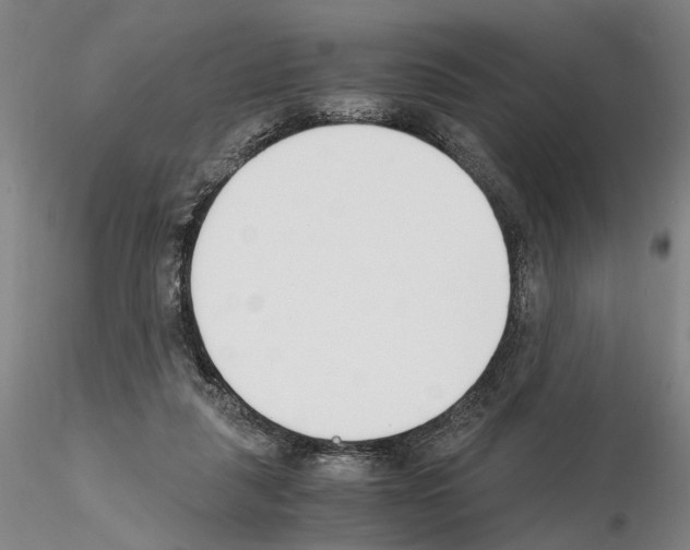 X0000115000259200912071147