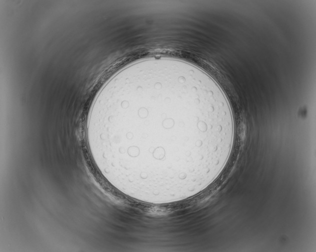 X0000115000261200912071147