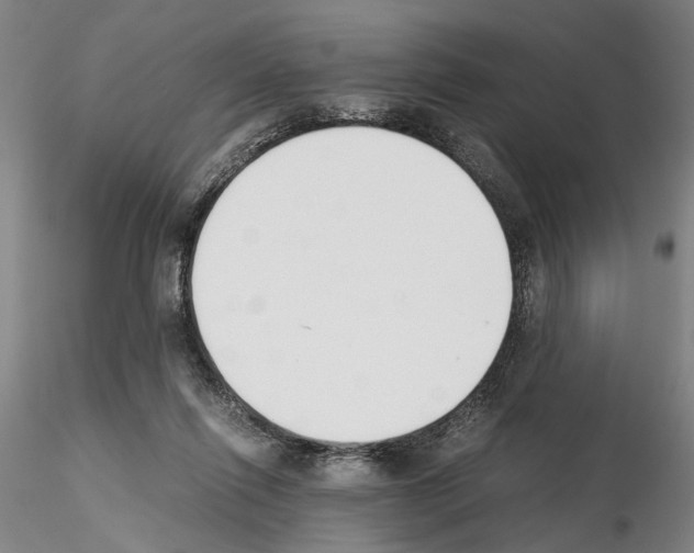 X0000115000262200912071147