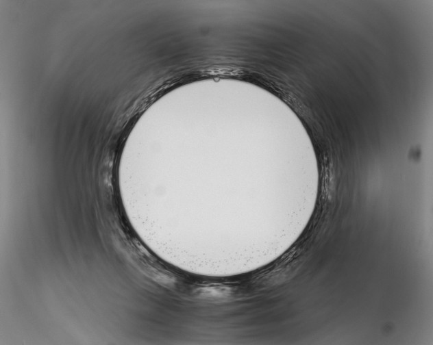 X0000115000263200912071147