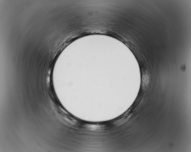 X0000115000264200912071147