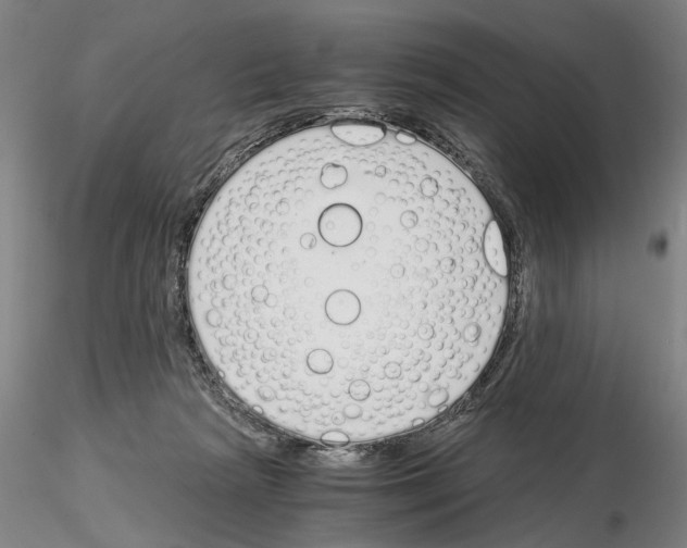 X0000115000265200912071147