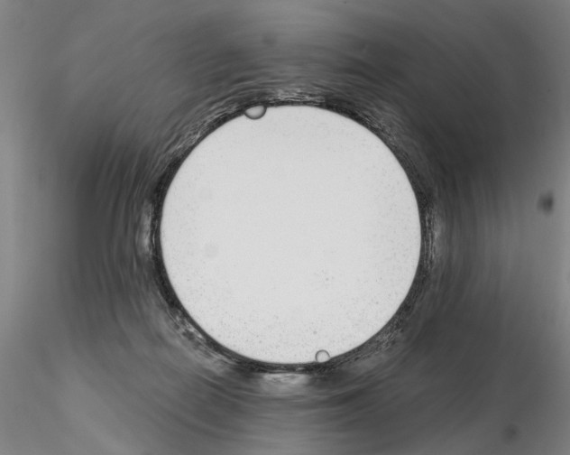 X0000115000266200912071147