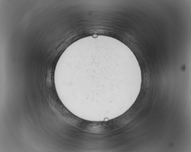 X0000115000267200912071147