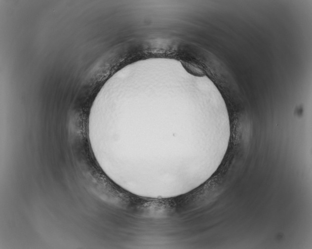 X0000115000272200912071147