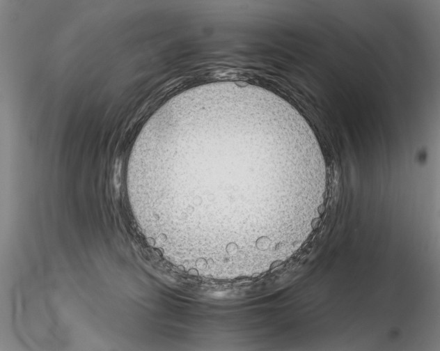 X0000115000275200912071147